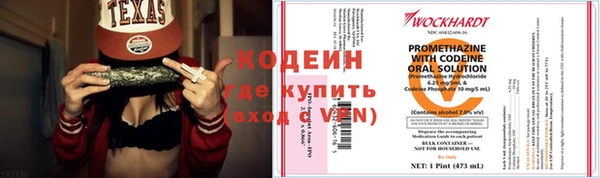 спиды Богородицк
