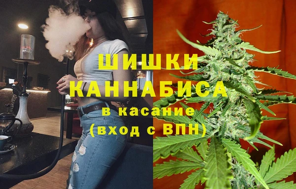 молекула духа Богородск