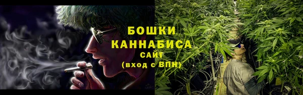 молекула духа Богородск