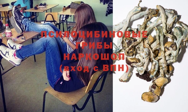 молекула духа Богородск